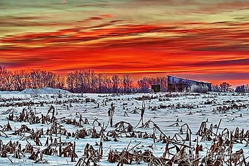 Winter Sunrise_P1240297-9.jpg - Photographed near Smiths Falls, Ontario, Canada.